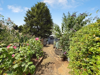 Picture 16